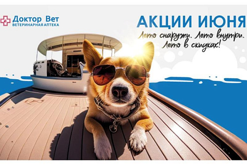 Новые скидочные предложения от «Доктор Вет» в первый месяц лета!